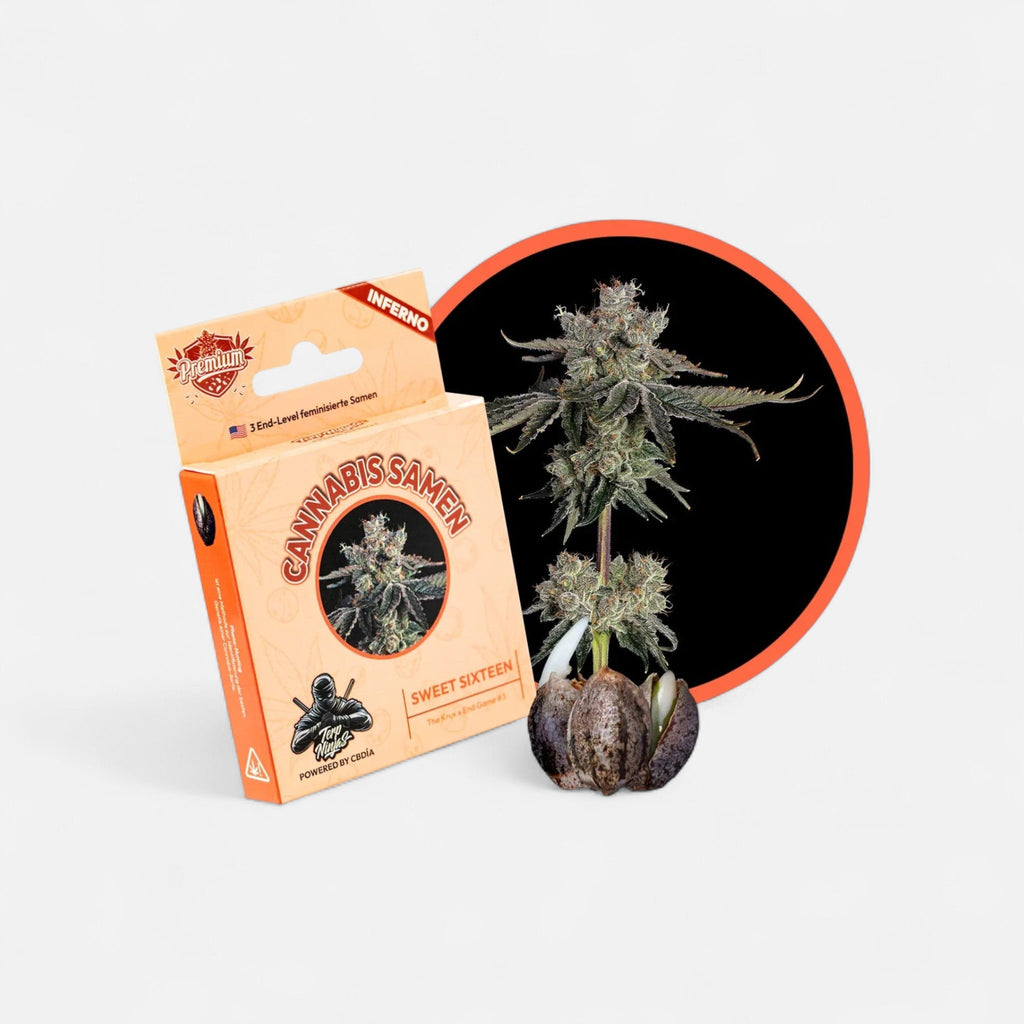 Sweet Sixteen US - Samen Feminisiert Cannabissamen 3 Stück - Hanfify