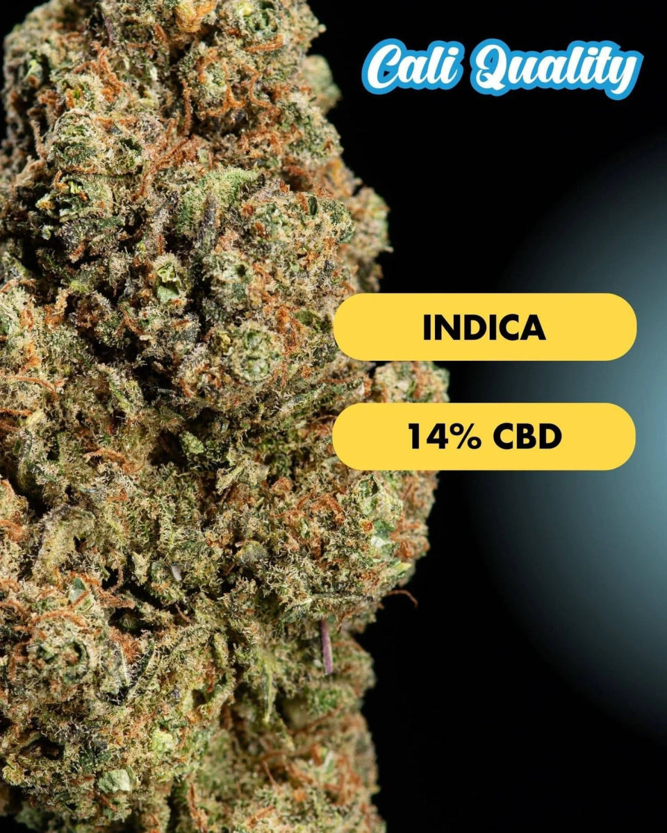 Tangie - CBD Blüte 14% Blüten - Hanfify