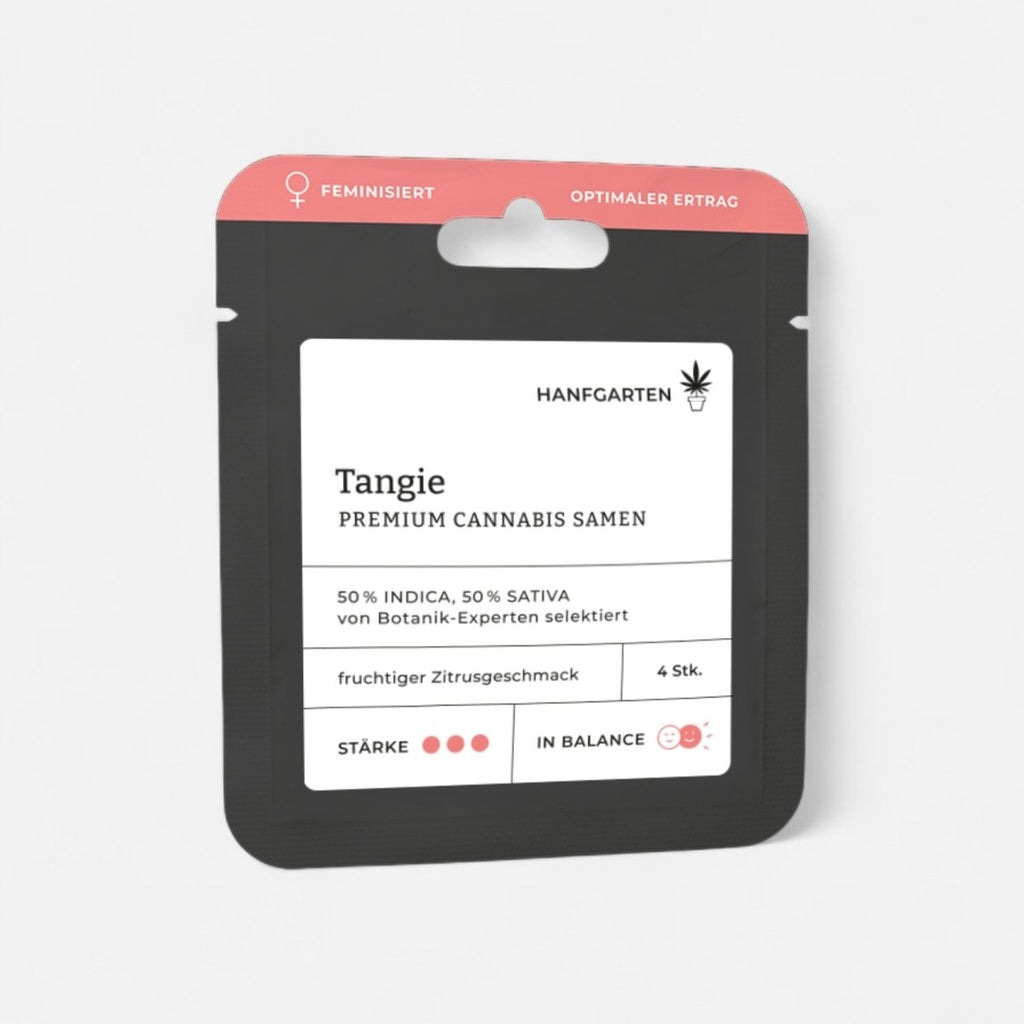 Tangie | Feminisiert Cannabissamen - Hanfify