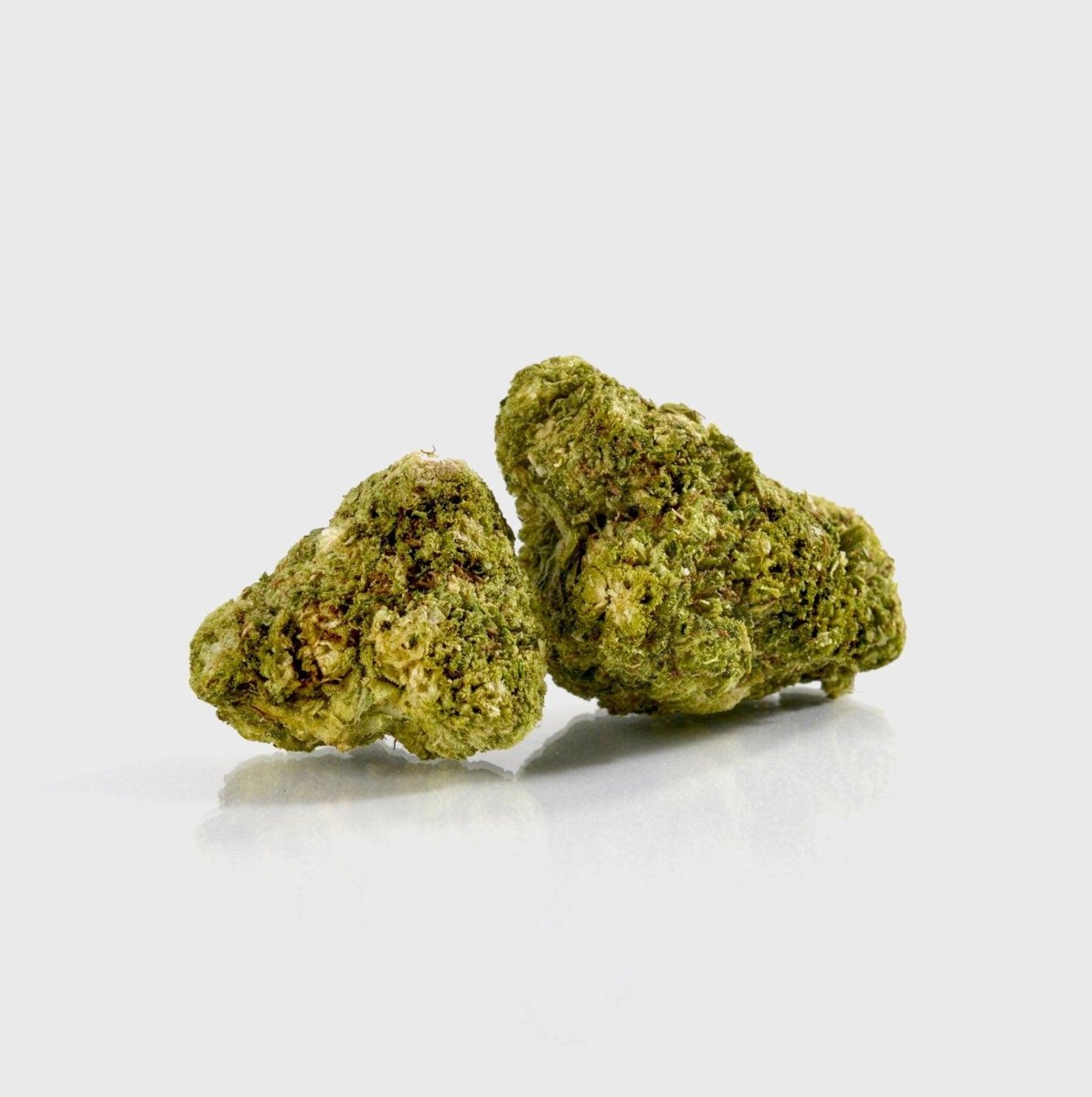 🍊 Tangie - POWER LVL: 4/5 Blüten 5g - Hanfify®