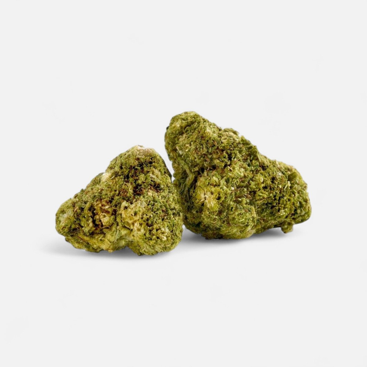 🍊 Tangie - POWER LVL: 4/5 - Blüten - Hanfify®