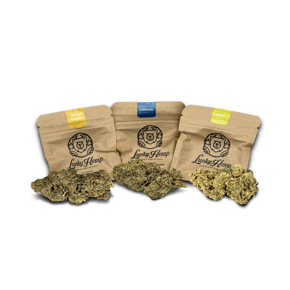Test - Set 1g Blüten 3 Sorten je 1g - Hanfify®