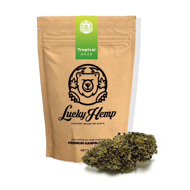 Tropical Haze Ökopack - Blüten - Hanfify®