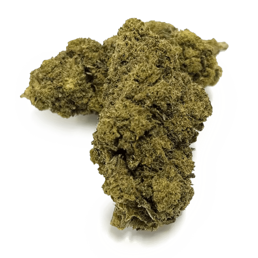 Tropical Haze Ökopack Blüten 5g - Hanfify®