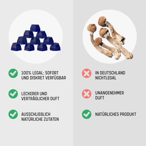 🍄 Tryp Magic Mushroom Gummies Smartshop 2 Stück - Hanfify