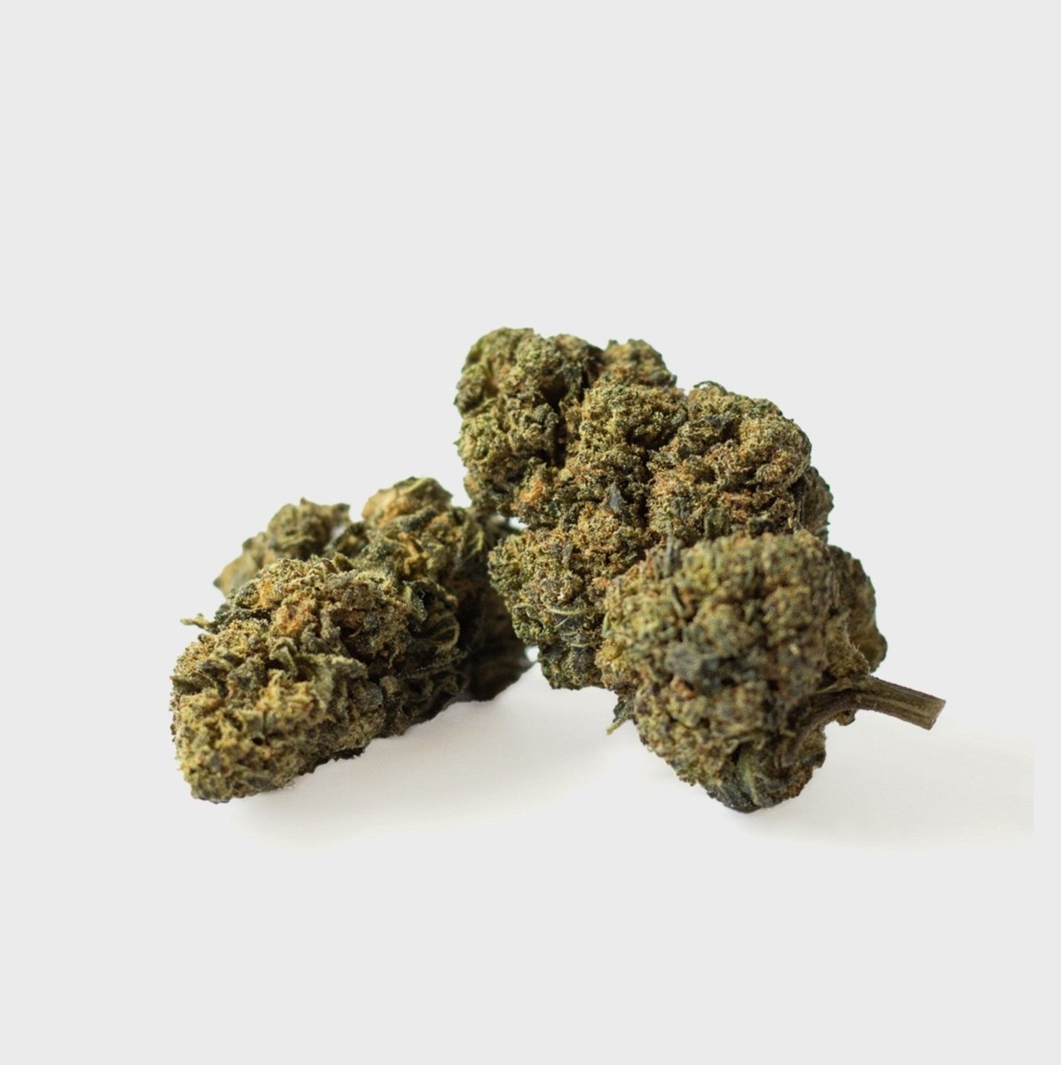 🍇 Tutti Frutti 24% CBD Blüten 5g - Hanfify®