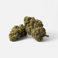 🍇 Tutti Frutti 24% CBD - Blüten - Hanfify®