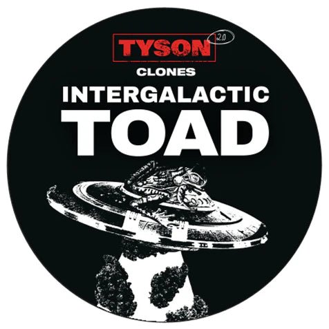 Tyson 2.0 Steckling - Intergalactic Toad Hanfpflanzen 1 Steckling - Hanfify