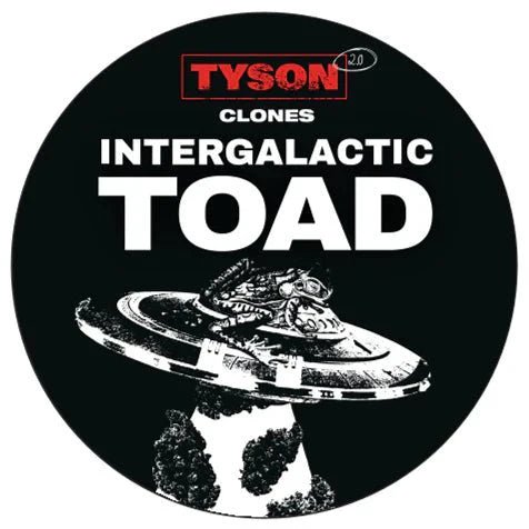 Tyson 2.0 Steckling - Intergalactic Toad - Hanfstecklinge - Hanfify®