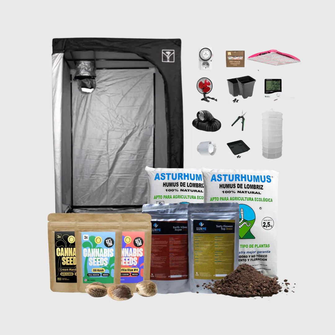 Ultimatives Grow Set Cannabissamen - Hanfify®