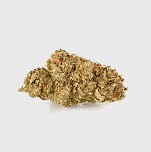 🧛🏻‍♂️ Vampire Kush CBD 22% Blüten 5g - Hanfify®