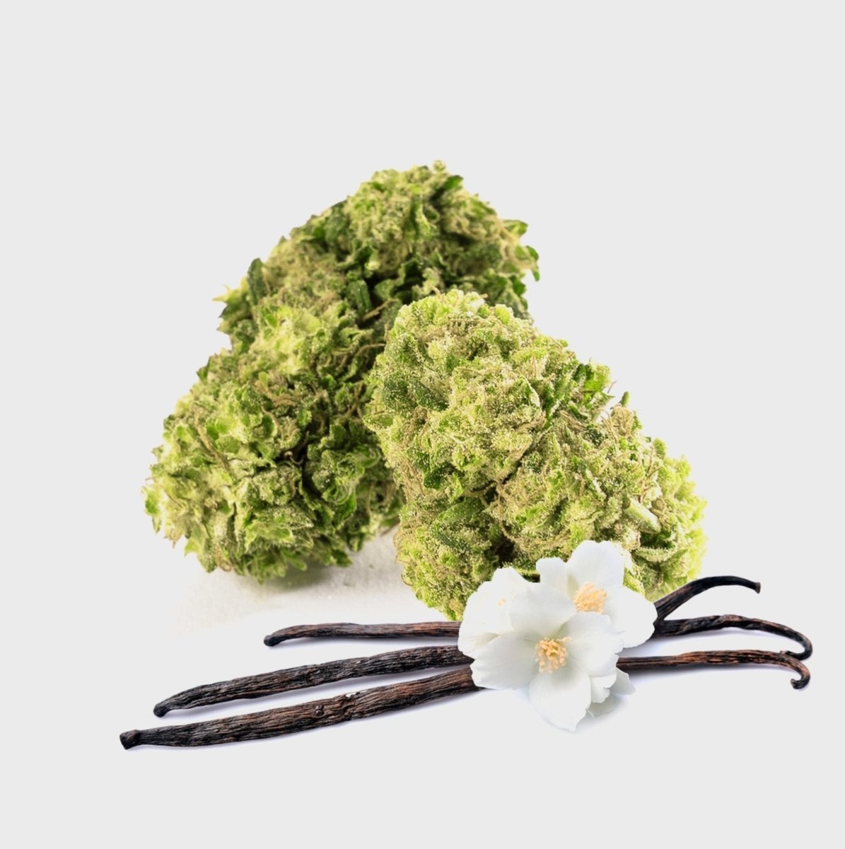 💛 Vanilla Chill Zone 12% CBG Blüten 3g Dose - Hanfify®