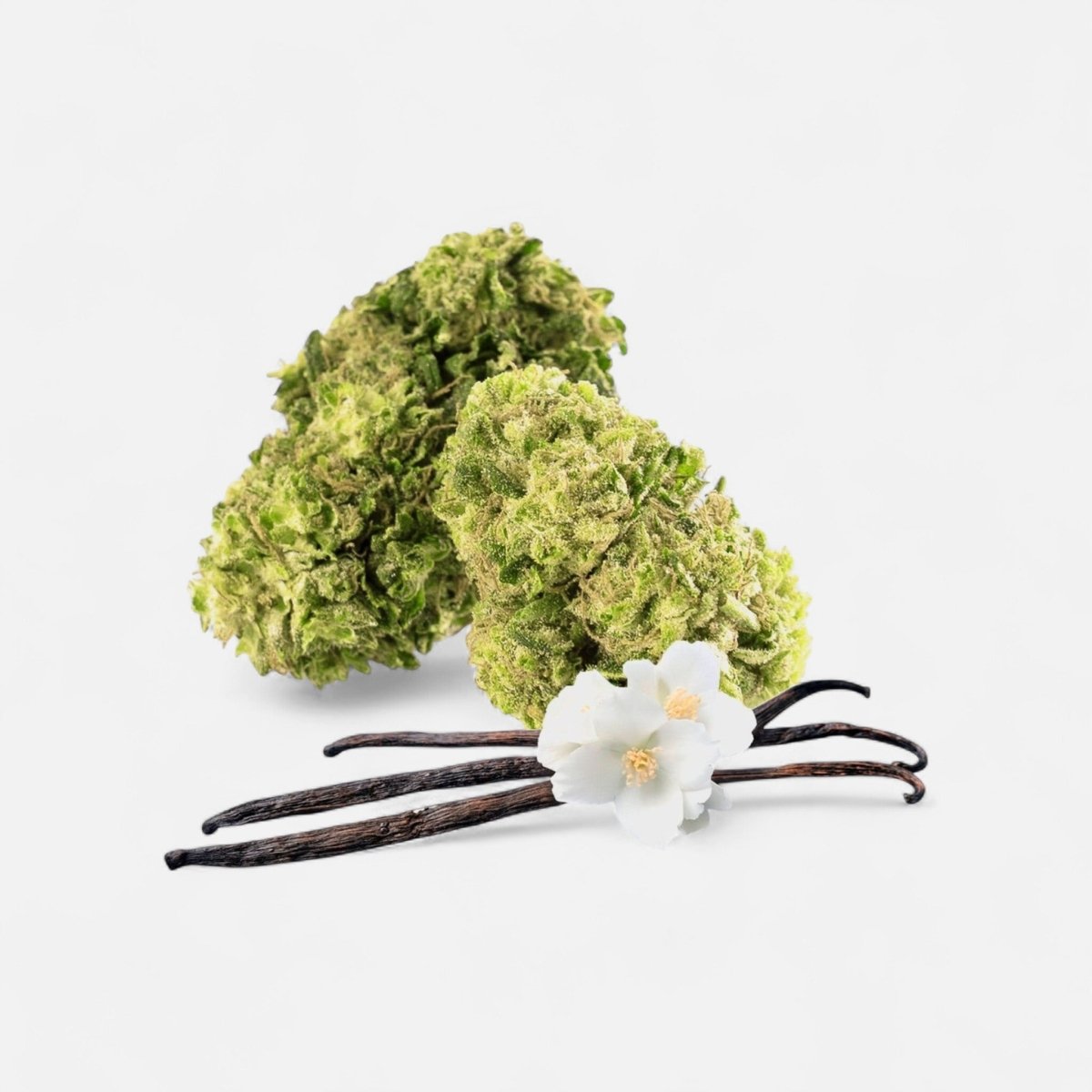 💛 Vanilla Chill Zone 12% CBG Blüten 3g Dose - Hanfify