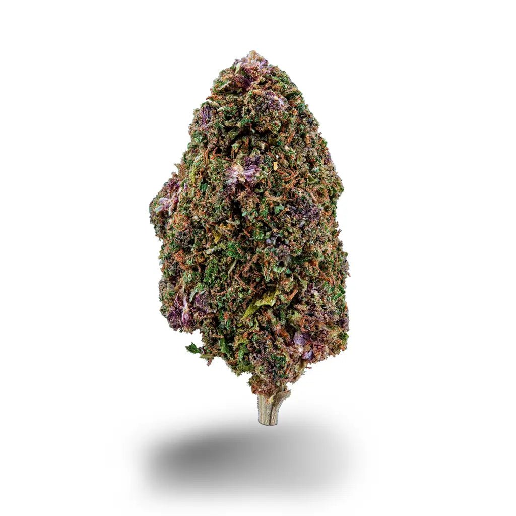 Vanilla Kush Blüten 2,5g - Hanfify