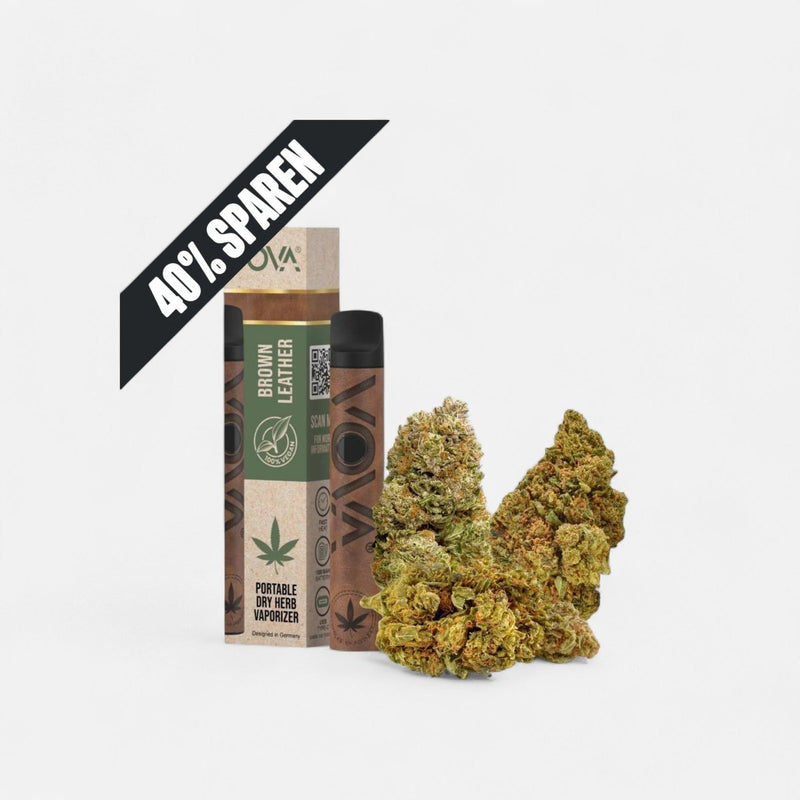 Vaporizer Experience Bundle Blüten - Hanfify