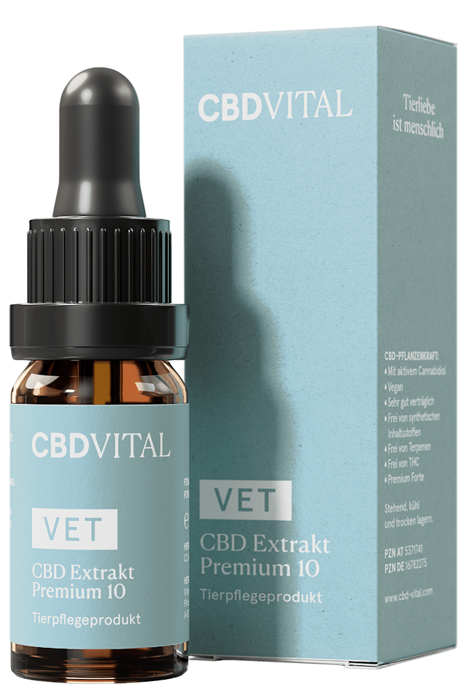 VET CBD 10 Extrakt Premium CBD für Tiere - Hanfify