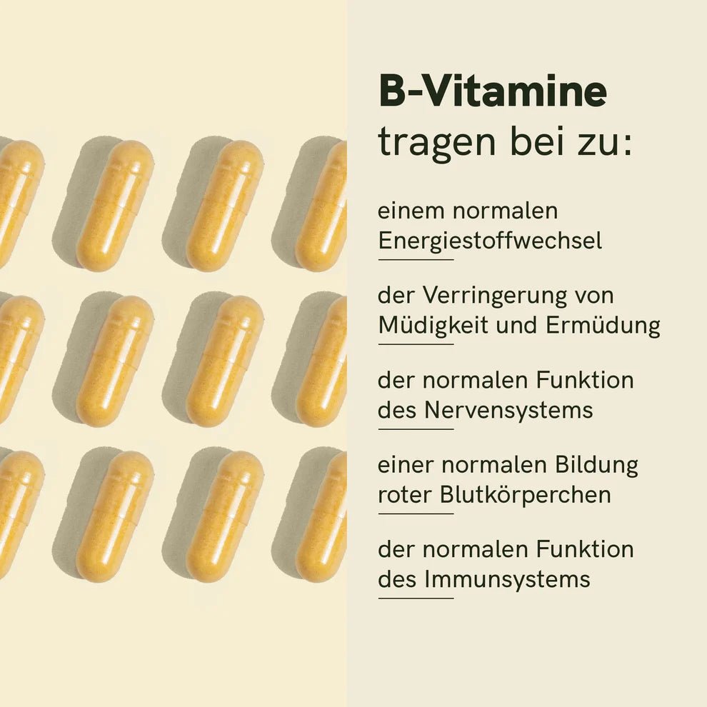 Vitamin B Komplex Supplements - Hanfify