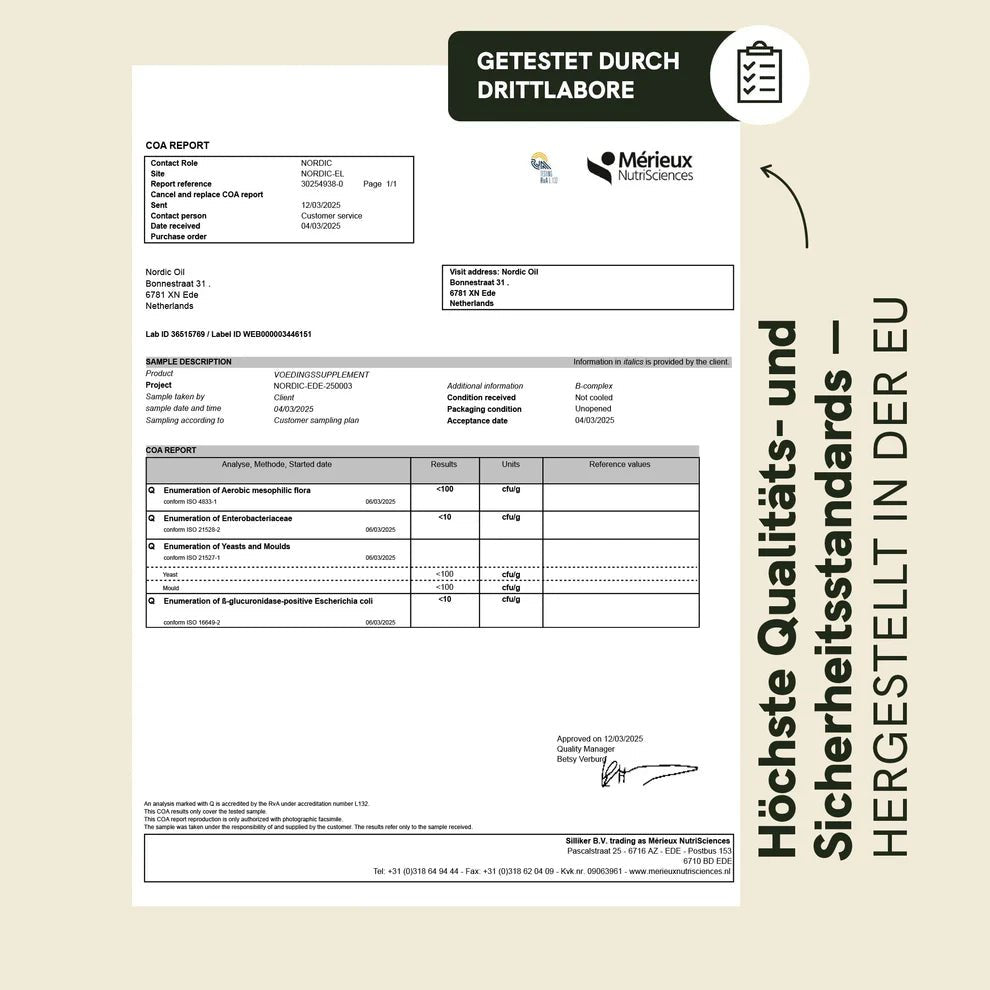 Vitamin B Komplex Supplements - Hanfify