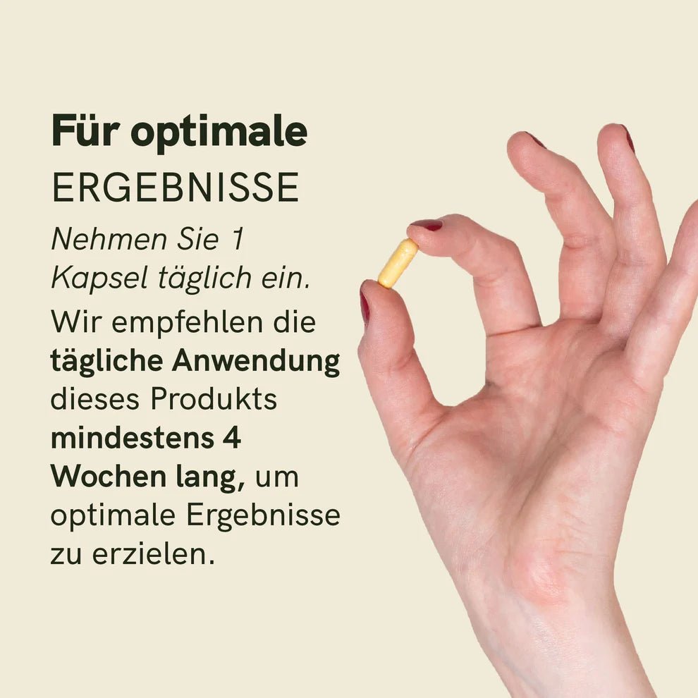 Vitamin B Komplex Supplements - Hanfify