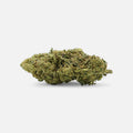 💨Vollis Turbobud - SATIVA TURBO LVL 5/5 - Blüten - Hanfify®