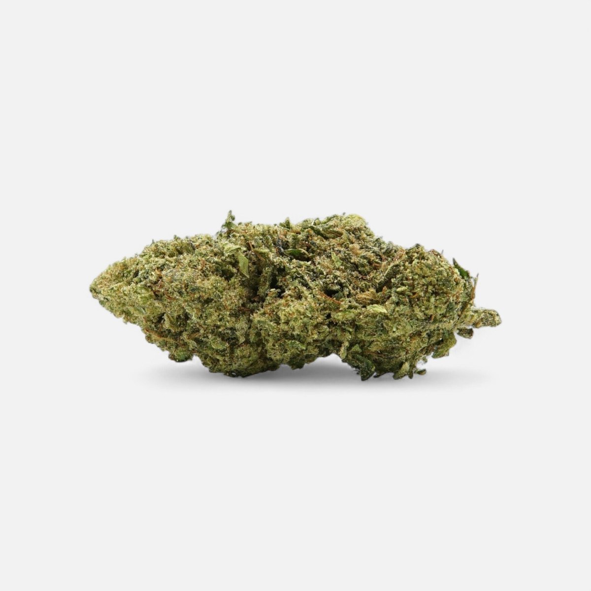 💨Vollis Turbobud - SATIVA TURBO LVL 5/5 - Blüten - Hanfify®