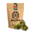 Watermelon Ökopack - Blüten - Hanfify®