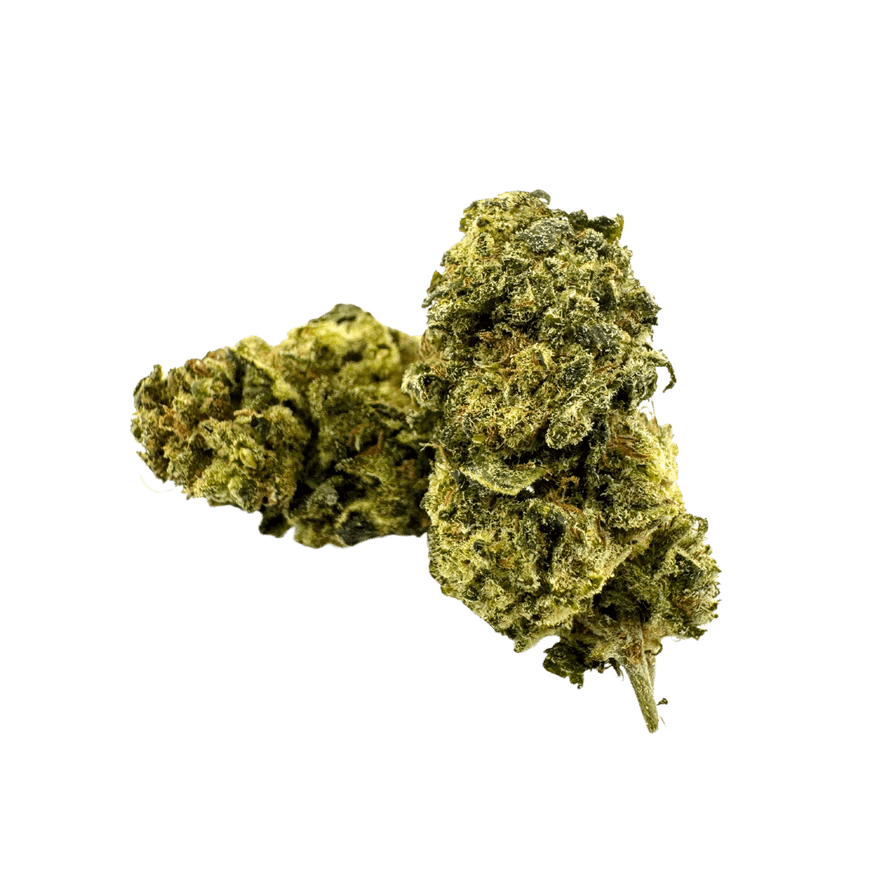 Watermelon Ökopack Blüten 5g - Hanfify®