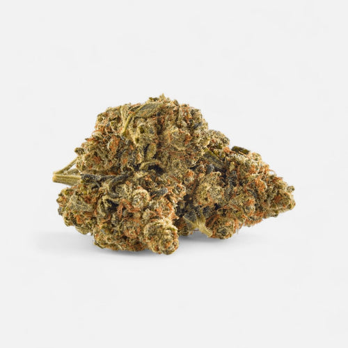 🎂 Wedding Cake - Power LVL 5/5 Blüten 5g - Hanfify