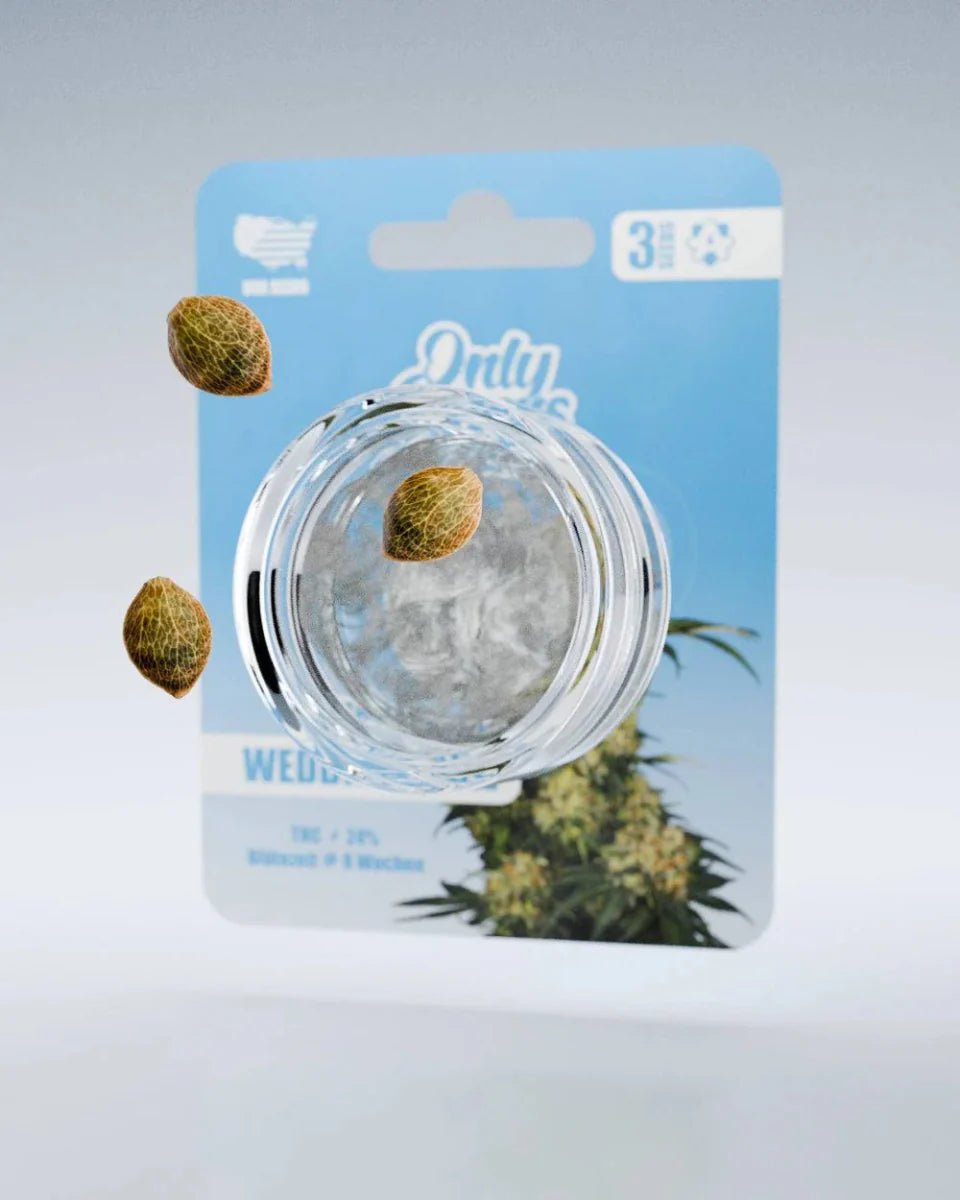 Wedding Cake THC-Seeds - Cannabissamen - Hanfify®