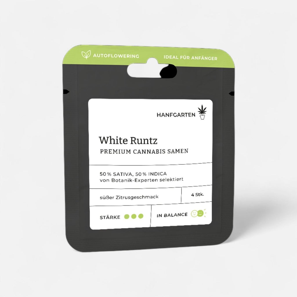 White Runtz | Autoflowering Cannabissamen - Hanfify