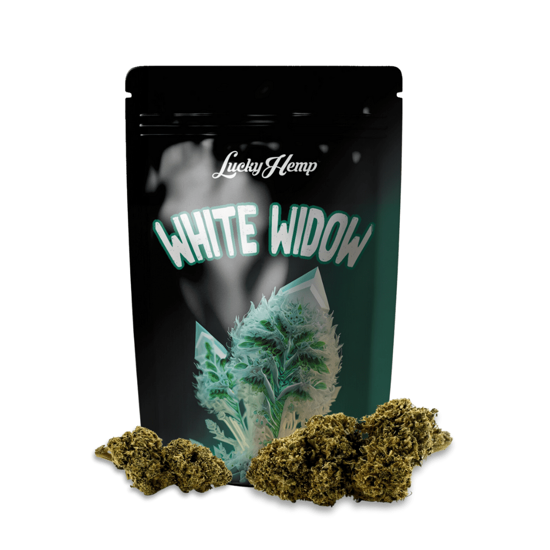 White Widow 3,5g Limited Pack Blüten 3,5g - Hanfify®