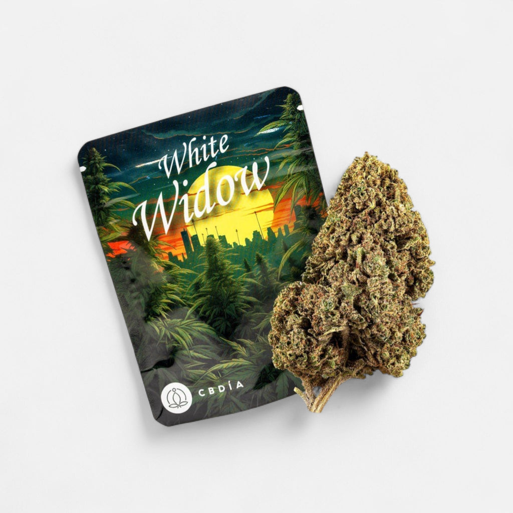 White Widow - Blüten - Hanfify®