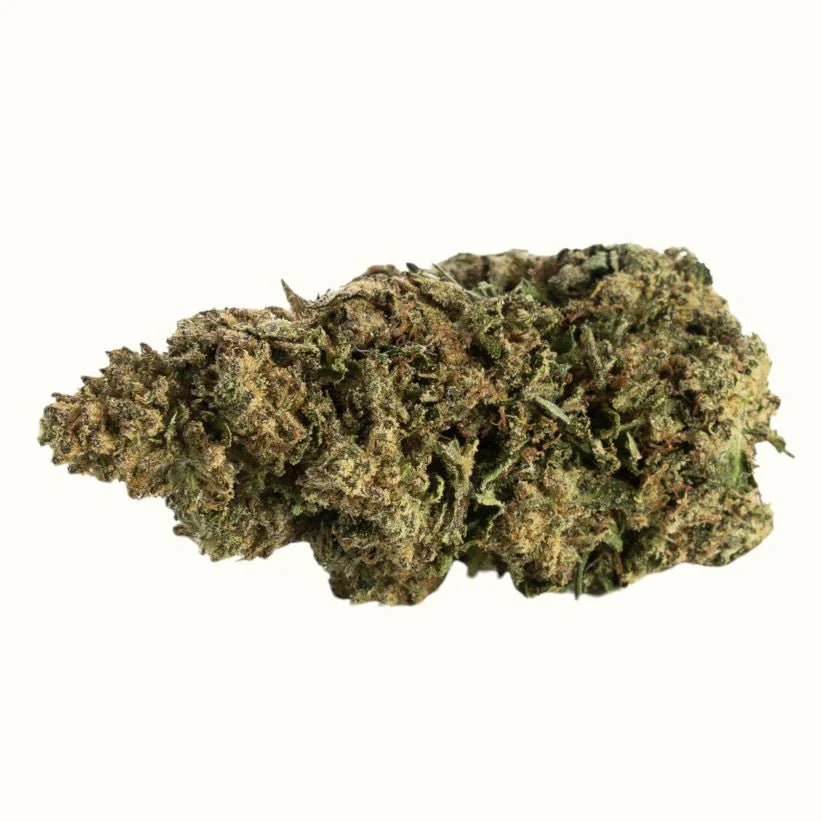 WHITE WIDOW x 5% - Blüten - Hanfify®
