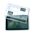 Zimmergewächshaus klein 38x24cm - Growshop - Hanfify®