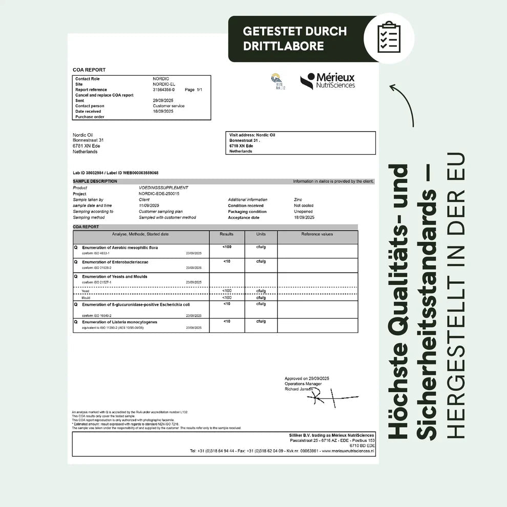 Zink Kapseln Supplements - Hanfify